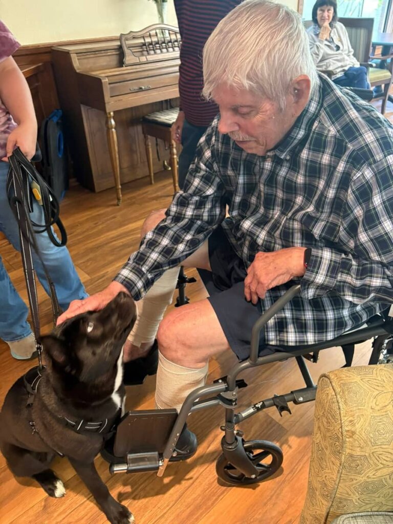 A resident gently pets a black therapy dog during an animal therapy visit at Traditions of Zanesville, brought by local rescue organizations from the Zanesville area.